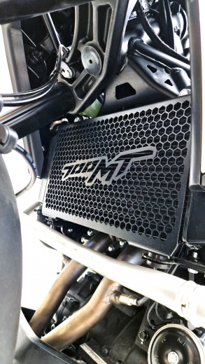 700mt_2025_radiator_guard__1750937292_590.jpg